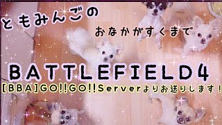 [BF4]ともみんごのサーバーをアレするBF4