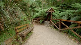 Exploring the Puffing Billy Heritage Area.24/5/2025