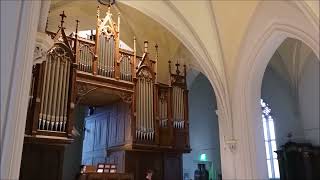 Iris Szeghy: Psalm 130 for soprano and organ (»excerpt«) ∙ Zuzana Barochová ∙ Ján Fic