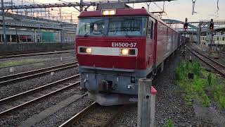 【貨物】金太郎EH500-57　コンテナ輸送　大宮駅通過