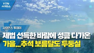 [영상] 제법 선득한 바람에 성큼 다가온 가을...추석 보름달도 두둥실 / YTN 사이언스