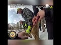 body cam police save horse from icy lake