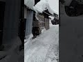 ラクラク雪下ろし 雪下ろし （いろいろ練習中）