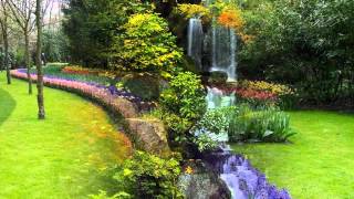 Vozes da Primavera-valsa de Johann  Strauss Jr.  - wmv