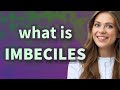 Imbeciles | meaning of Imbeciles