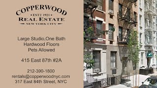 415 East 87 Apt 2A