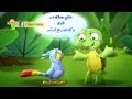 الببغاء 