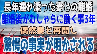 【修羅場】動する話総集編結婚して15年元妻の不倫で離婚した俺離婚後仕事に熱中しがむしゃらに働いた3年後花屋に勤める元妻を発見した俺は…