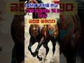 중년에 귀인을 만나 크게 성공하는 띠 3가지 금전운 쏟아진다. 사주 사주팔자 부와행운 풍수 대운 사주궁합