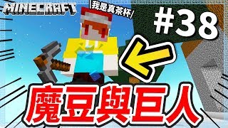 Minecraft 異世界考古生存#38 爬上空島的巨人國度...這個人好面熟( ﾟ∀ﾟ)?!【茶杯模組生存】