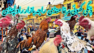 Dingi Khui Murga Mandi Raja Bazar Rawalpindi | Rawalpindi Murga Mandi | Murga Mandi Rajabazar Part-1