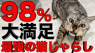 【キングオブ猫アイテム】98％の猫が満足する”最強の猫じゃらし”を紹介 【圧倒的No. 1】