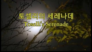 토셀리의 세레나데 Toselli Serenade -Toselli 곡 -남덕우 노래 -세계명가곡 특선 38