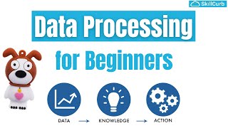 Learn Data Processing Concepts for Beginners | Become a Data Nerd