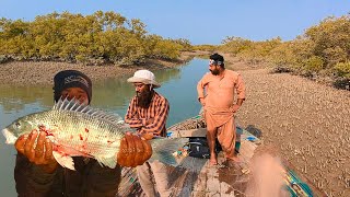 Mangroves Bottom Fishing | 2025 Part 2