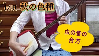 三味線の演奏　長唄「秋の色種」虫の音の合方　３～４年前に、歌舞伎座の公演で、玉三郎が踊るのを知り、それまでには全部覚えておきたいと思って、お稽古しました。＃Shamisen　＃歌舞伎ましょう