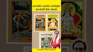 భగవద్గీత - మహాభారతం - భాగవతం : వీటి మధ్య తేడా ఏమిటి? Bharatam Bhagavatam Gita | Nanduri Srinivas