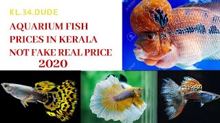 AQUARIUM FISH PRICES IN KERALA 2020(REAL PRICE)NOT FAKE