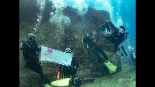 与那国島　ハンマーヘッドシャーク＆海底遺跡ツアー