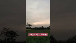 কি সুন্দর বিকেল বেলার প্রকৃত সাথে সূরা ইখলাস তেলাওয়াত #surahikhlas #nature #beautiful #shorts