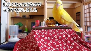 [Miniature] It's getting chilly, so I put out a kotatsu. #shorts