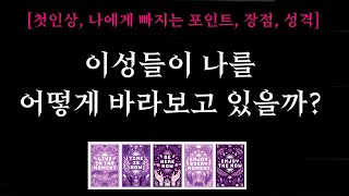 [타로] 🌼미친적중률❤️‍이성들은 나를 어떻게 볼까? 🔮 첫인상, 장점, 외모, 성격 정확하게 알려드립니다.