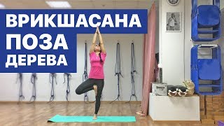 Врикшасана / Как правильно делать Позу Дерева?