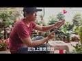 竹子做的“土枪”，发射的时候发出啪啪啪的声响，玩过的30岁 了吧