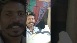 ഇതെല്ലാം ആണ് സന്തോഷം ❤️... #vlogs #shortvid #shortvideos #shorts #shortvideo #shortsvideo