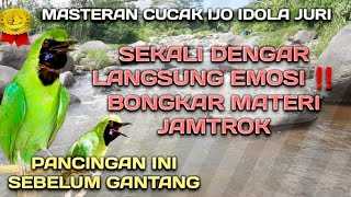 Download Lagu Masteran Cucak Ijo Full Isian Menaikkan Emosi Bong... MP3 Gratis