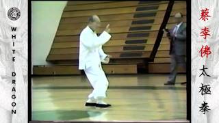 Yang Style Tai Chi Chuan - Great Grandmaster Hu Yuen Chou