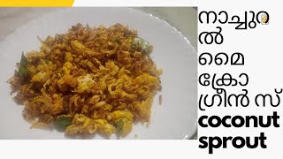 coconut sprout /തെങ്ങിൻ പെങ്ങ്/ പൊരി@JKN5379