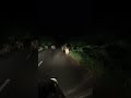 night walk lion pride of gir gir lion safari gir national park group of lions amazing videos