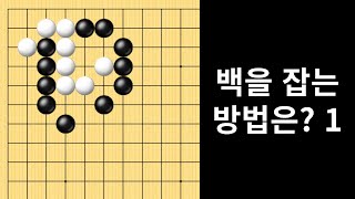 백을 잡는 방법은? 1