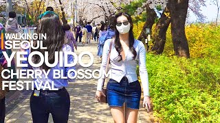 [4K] 벚꽃 설레임 여의도 🌸💮🌸벚꽃 축제 풀코스 산책 | Seoul Yeouido Cherry Blossom Festival |🎧Stereo