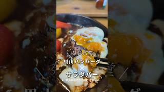 奈良県橿原市・大和八木駅近くにある「#奈良食堂」にてランチ。サラダバーと里山ハンバーグをいただきました。#橿原グルメ #橿原ランチ #橿原ディナー #橿原市 #くぼゆう食べ歩きレビュー #くぼゆう