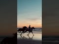 Sunset Horseback riding in Morocco #shorts #youtubeshorts