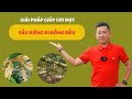 Giải Pháp Giúp Cơi Đọt Sầu Riêng Đi Đồng Đều | Nông Nghiệp Tây Nguyên TKA