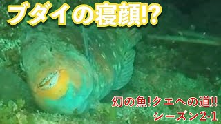 穴を覗いたらおっさんみたいに魚が寝てた☆幻の魚!クエへの道!!Vol.08