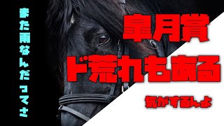 【皐月賞2021】坂路時計とコース相性良しの馬と先着馬で素直に買う【皐月賞らしくない調教が多い？】