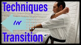 Karate workout: techs in transition