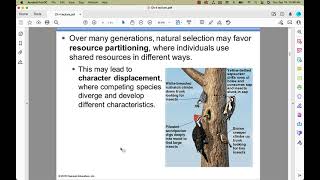 APES Chapter 4 Lecture