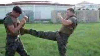 MCMAP Green Belt Fight