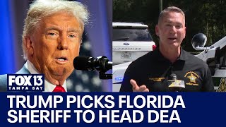 Trump picks Hillsborough Sheriff Chad Chronister to head DEA