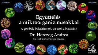 Együttélés a mikroorganizmusokkal - a gombák, baktériumok, vírusok a barátaink (biologika)