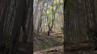 Mysterious shrine on the way to Tsubosaka-dera?