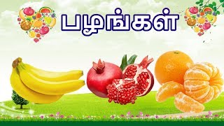 பழங்கள் - தமிழரசி | Learn Fruits Name video for kids and children in Tamil