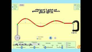 #ඇදි තන්තුවක#තීර්යක් තරංග#දෘඩපරාවර්තනය#මෘදුපරාවර්තනය# Transverse waves#