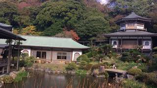 鎌倉三十三観音霊場　光明寺