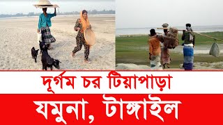 দূর্গম চরের জীবন | চর টিয়াপাড়া | village life | jamuna river | Y Bee